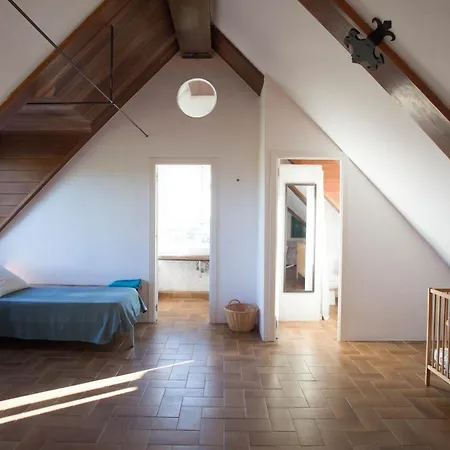 Attic Dels Sentits