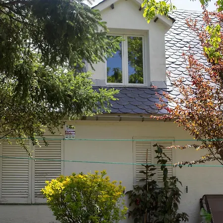 Attic Dels Sentits Perafita