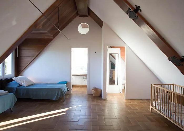 Attic Dels Sentits
