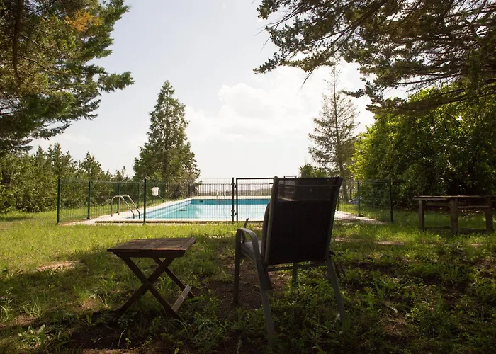 Attic Dels Sentits *