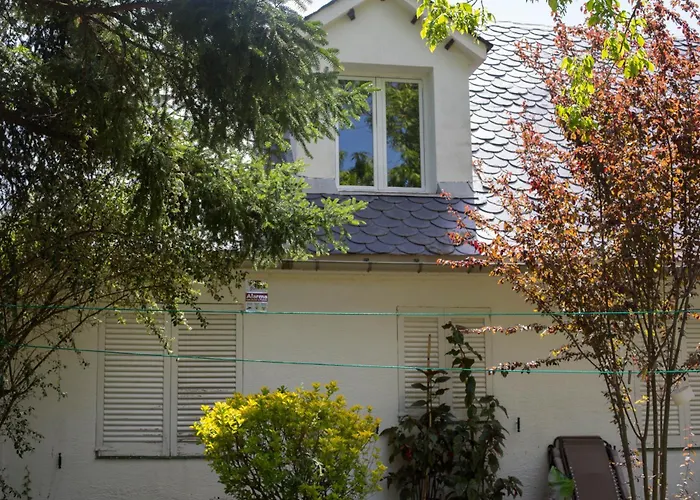 Attic Dels Sentits Perafita