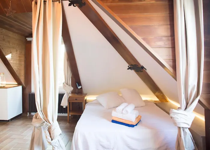 Attic Dels Sentits